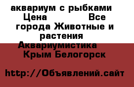 аквариум с рыбками › Цена ­ 15 000 - Все города Животные и растения » Аквариумистика   . Крым,Белогорск